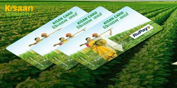 किसान क्रेडिट कार्ड: सरकार ने 4% ब्याज दर पर 1.1 करोड़ किसानों को 89,810 करोड़ रुपये का ऋण मंजूर किया